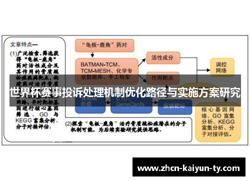 世界杯赛事投诉处理机制优化路径与实施方案研究