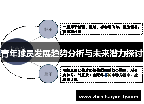 青年球员发展趋势分析与未来潜力探讨