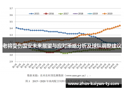 老将受伤国安未来展望与应对策略分析及球队调整建议